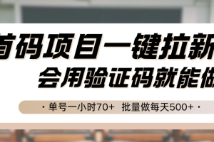 首码项目一键拉新，会用验证码就能做 单号一小时70+，批量做每天500+