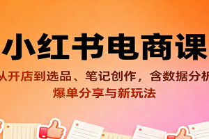小红书电商课：从开店到选品、笔记创作，含数据分析，爆单分享与新玩法