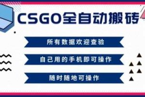 CSGO全自动搬砖，年底钱回家好项目，当天可拿到结果，新手小白轻松月入1W+【揭秘】