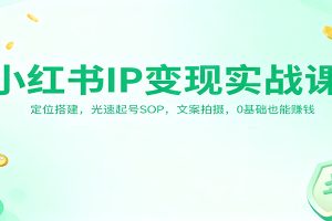小红书IP变现实战课：定位搭建，光速起号SOP，文案拍摄，0基础也能赚钱