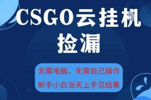 CSGO云挂G全自动捡漏，最新独家玩法，无需电脑操作，新手小白日入5张+【揭秘】