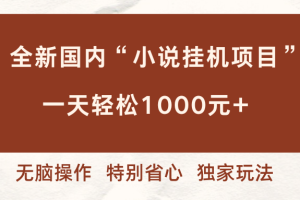 （16833期）全新国内小说挂G项目，多窗口无脑跑，一天轻松1k+，特别省心【揭秘】