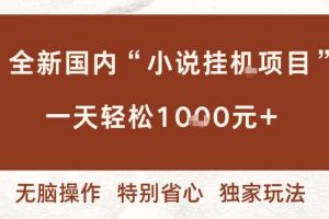 全新国内小说挂G项目，多窗口无脑跑，一天轻松1k+，特别省心【揭秘】